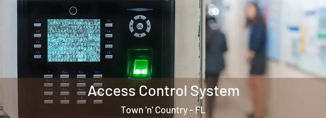 Access Control System Town 'n' Country - FL