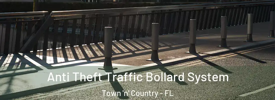 Anti Theft Traffic Bollard System Town 'n' Country - FL