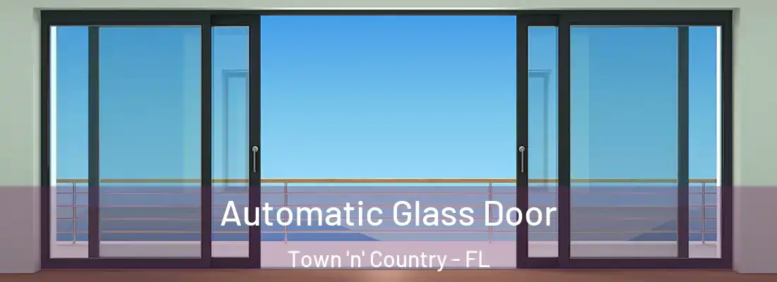 Automatic Glass Door Town 'n' Country - FL