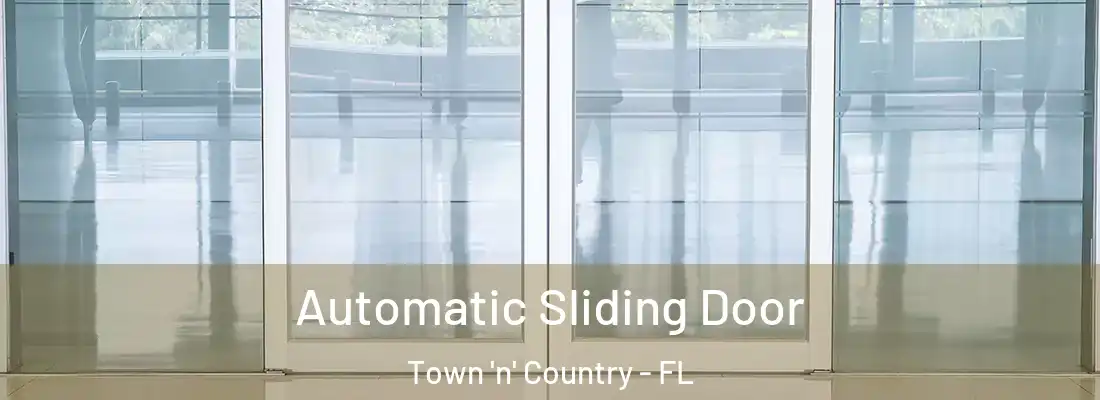 Automatic Sliding Door Town 'n' Country - FL