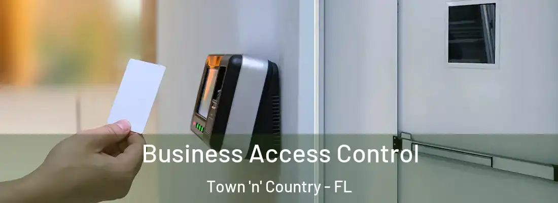 Business Access Control Town 'n' Country - FL