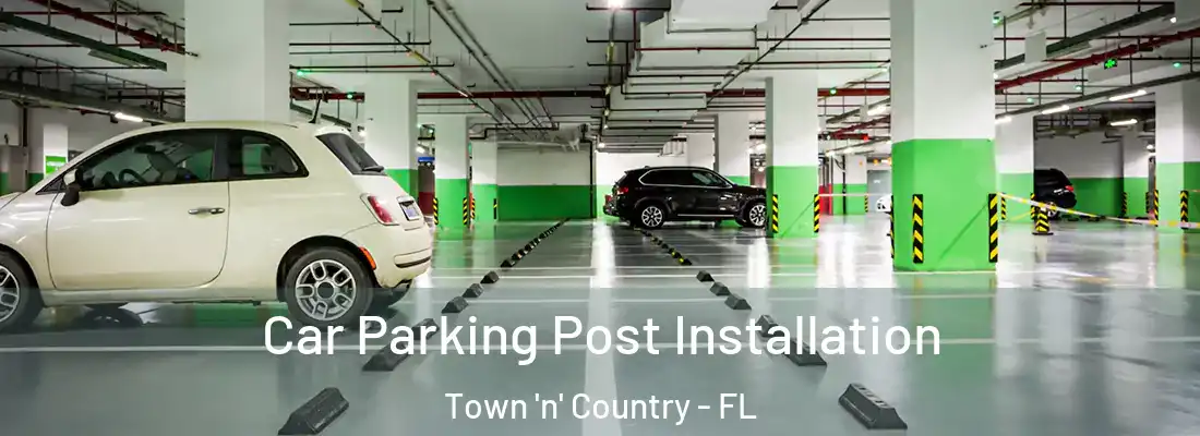 Car Parking Post Installation Town 'n' Country - FL