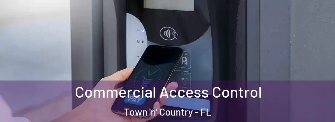Commercial Access Control Town 'n' Country - FL