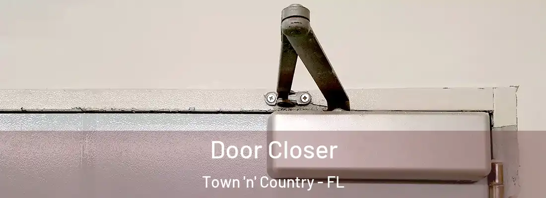 Door Closer Town 'n' Country - FL