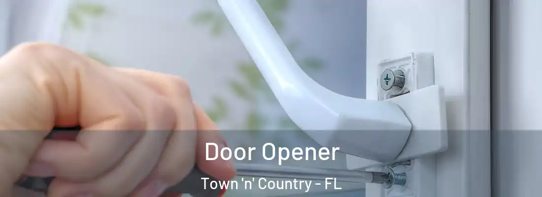 Door Opener Town 'n' Country - FL