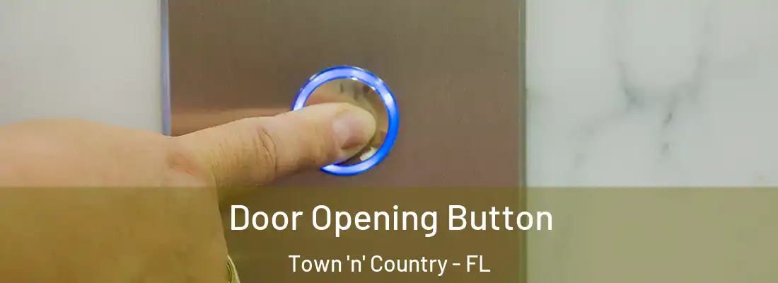 Door Opening Button Town 'n' Country - FL