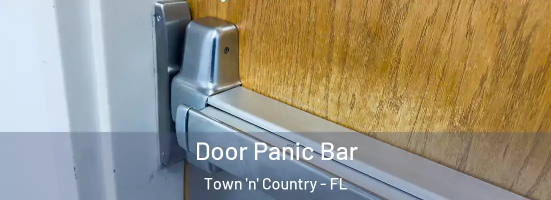 Door Panic Bar Town 'n' Country - FL