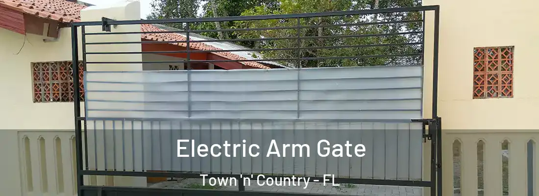 Electric Arm Gate Town 'n' Country - FL