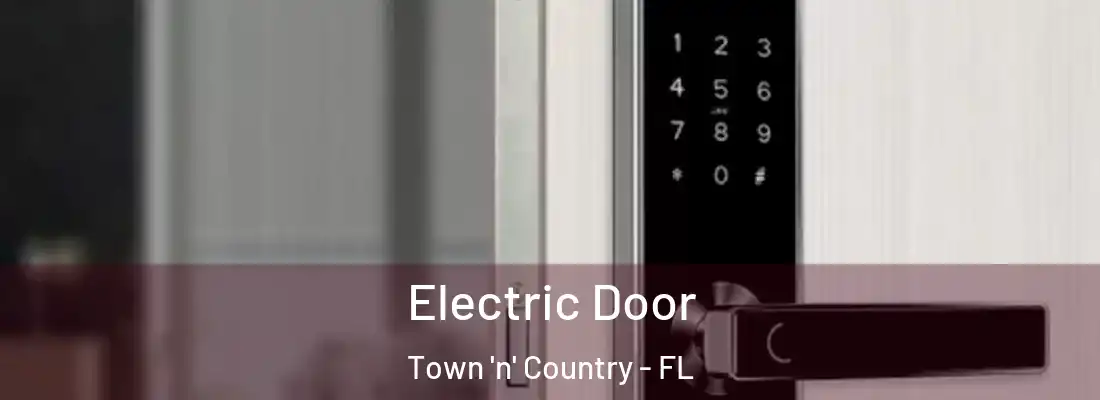 Electric Door Town 'n' Country - FL