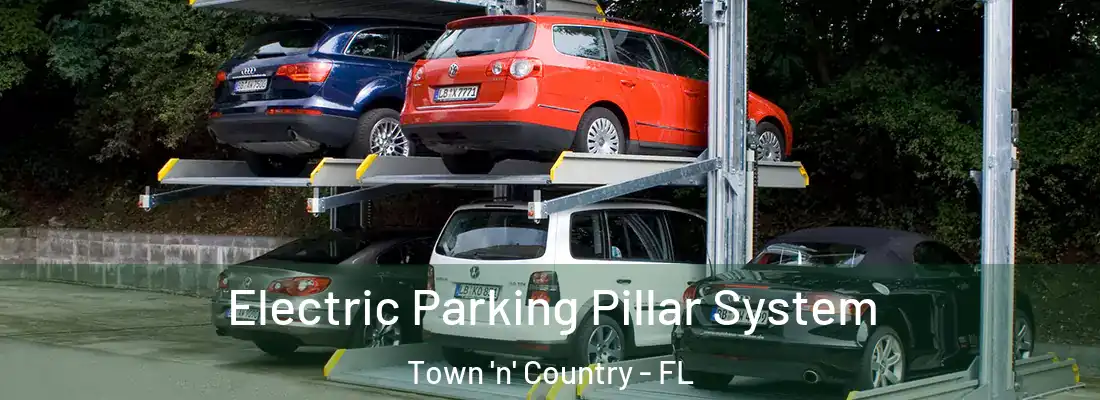 Electric Parking Pillar System Town 'n' Country - FL