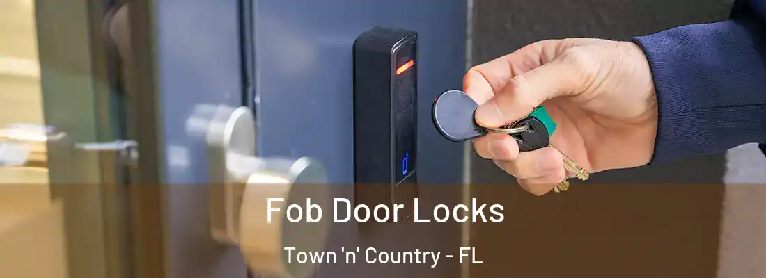 Fob Door Locks Town 'n' Country - FL