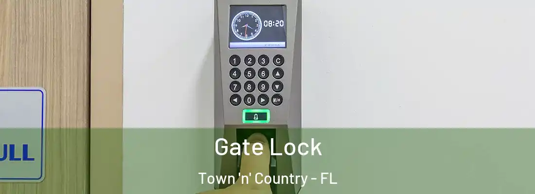 Gate Lock Town 'n' Country - FL