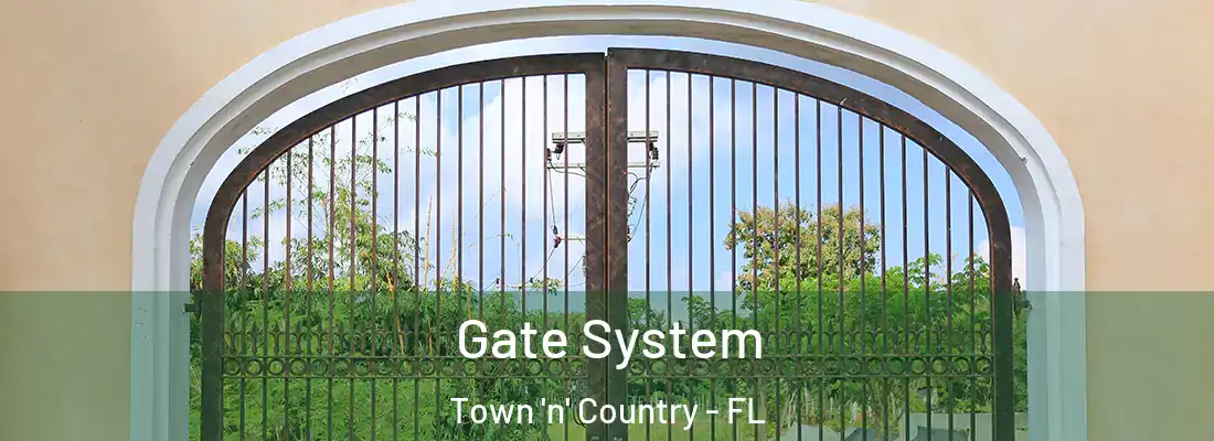 Gate System Town 'n' Country - FL