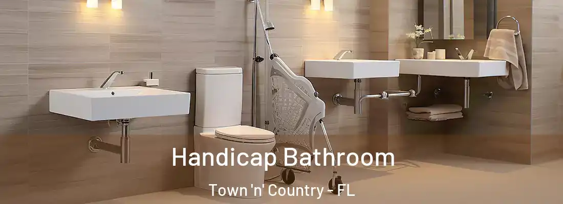 Handicap Bathroom Town 'n' Country - FL