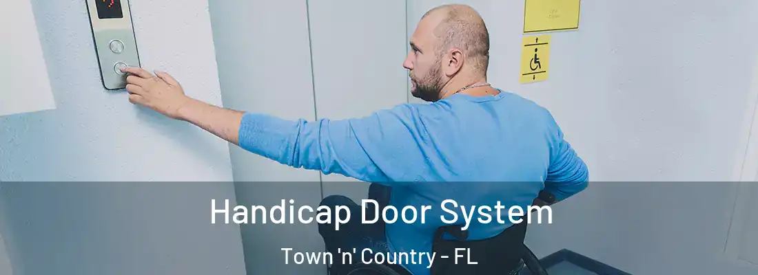 Handicap Door System Town 'n' Country - FL
