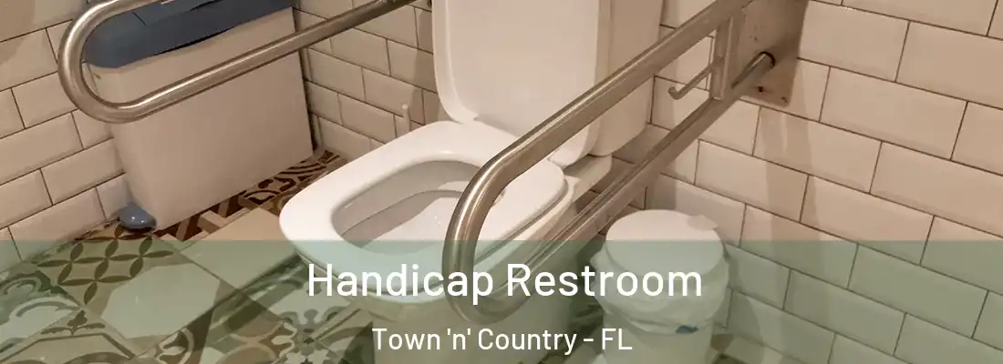 Handicap Restroom Town 'n' Country - FL