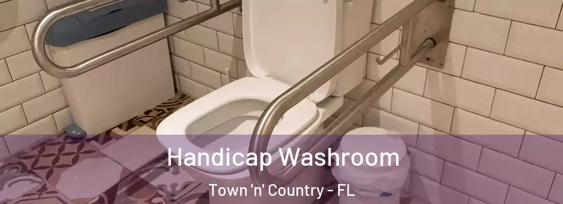 Handicap Washroom Town 'n' Country - FL
