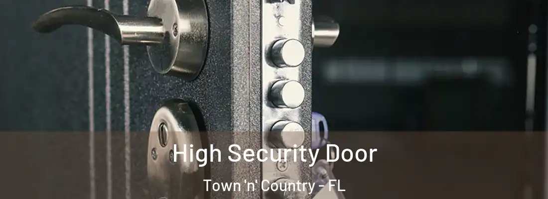 High Security Door Town 'n' Country - FL