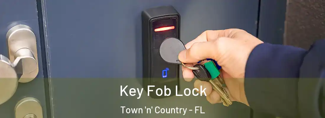 Key Fob Lock Town 'n' Country - FL