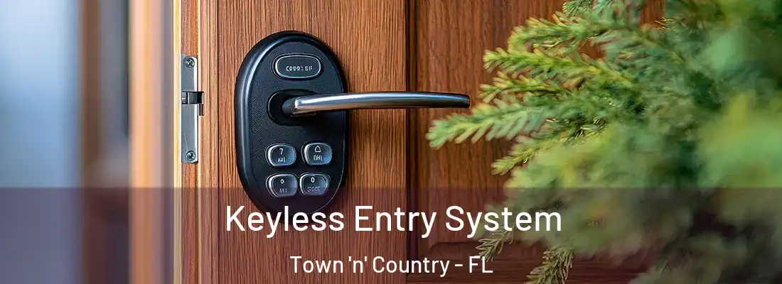 Keyless Entry System Town 'n' Country - FL