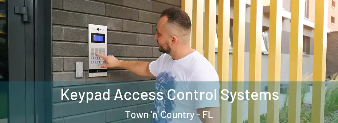 Keypad Access Control Systems Town 'n' Country - FL