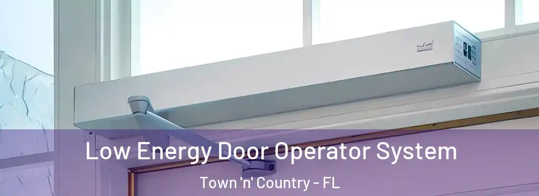 Low Energy Door Operator System Town 'n' Country - FL