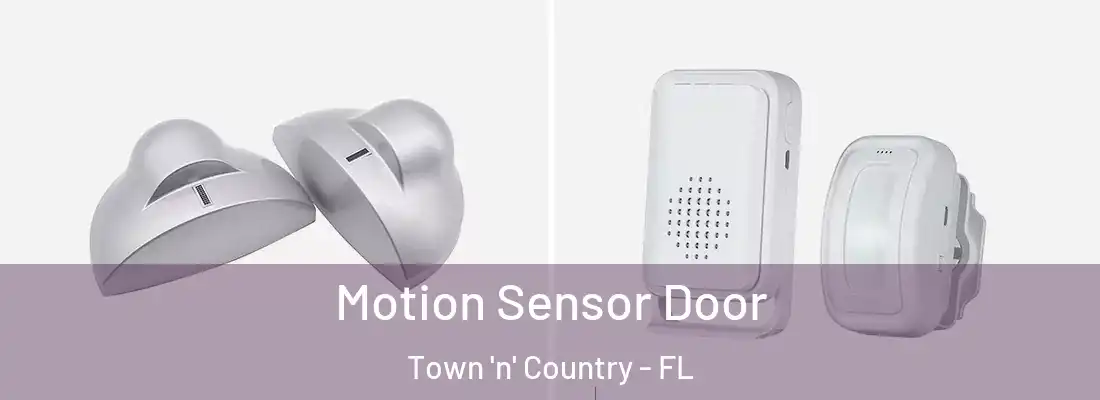 Motion Sensor Door Town 'n' Country - FL