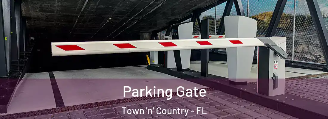 Parking Gate Town 'n' Country - FL
