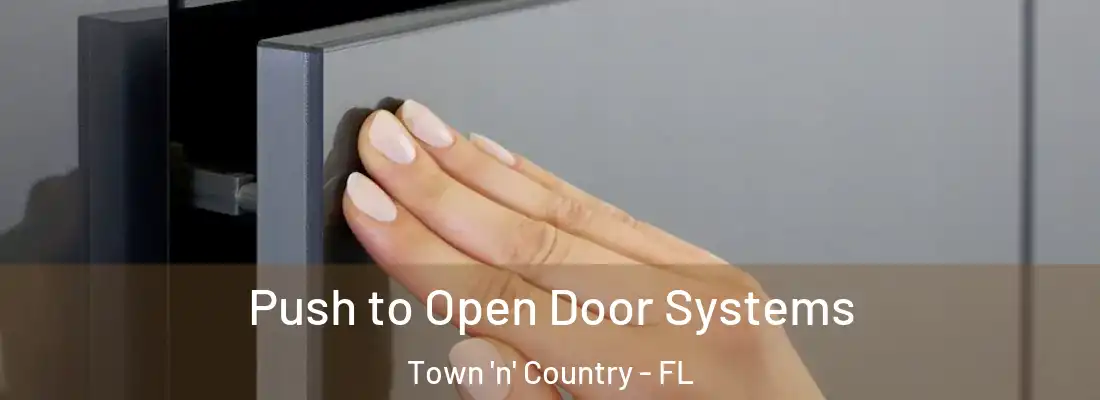 Push to Open Door Systems Town 'n' Country - FL