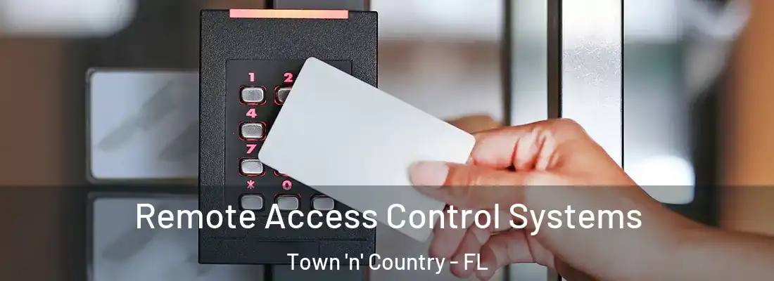 Remote Access Control Systems Town 'n' Country - FL