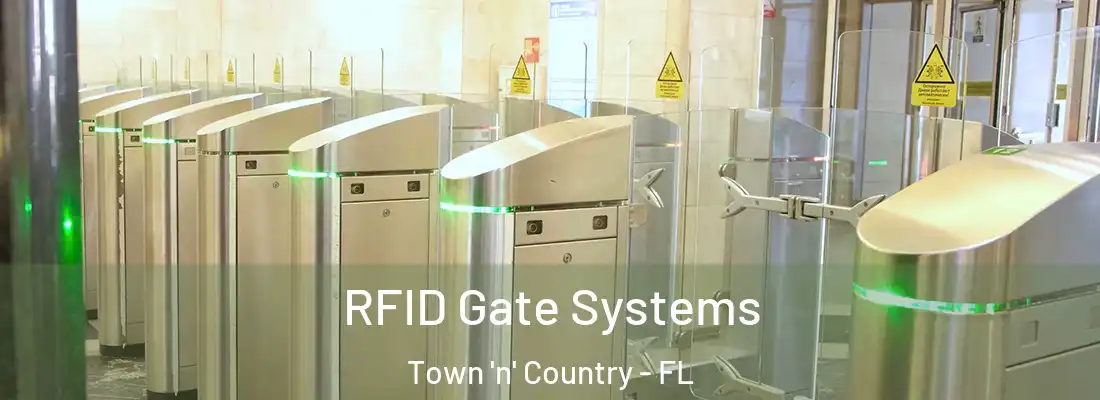 RFID Gate Systems Town 'n' Country - FL