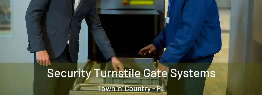 Security Turnstile Gate Systems Town 'n' Country - FL
