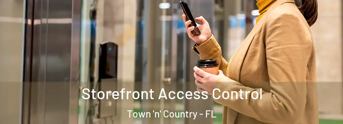 Storefront Access Control Town 'n' Country - FL