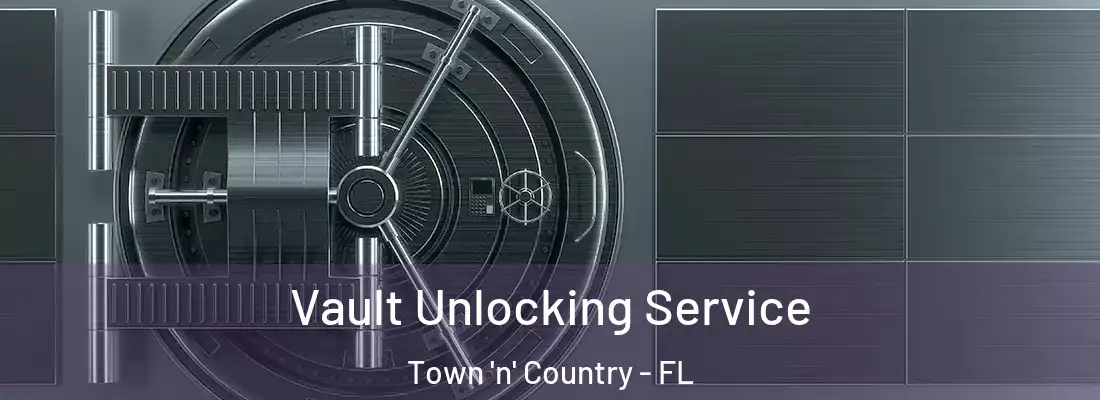 Vault Unlocking Service Town 'n' Country - FL