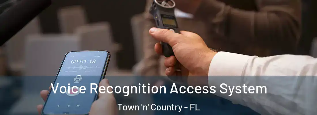 Voice Recognition Access System Town 'n' Country - FL